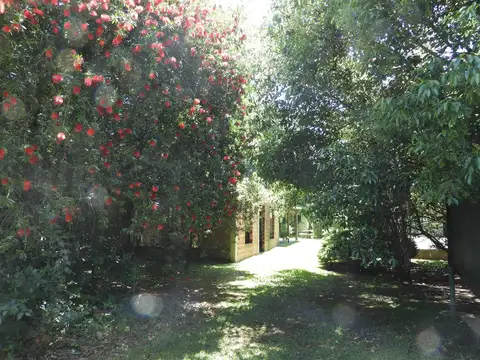 Montes de Oca al 600