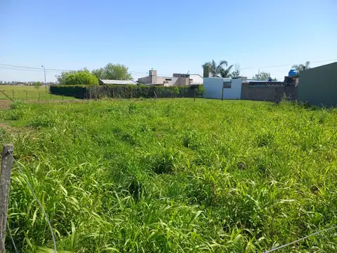 Los Pinos 2 - Álvarez
