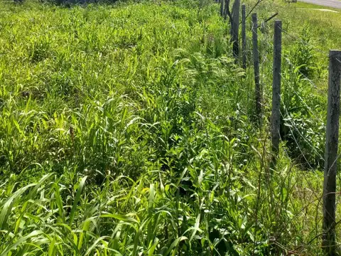 Terreno en Venta de 365,0 m2