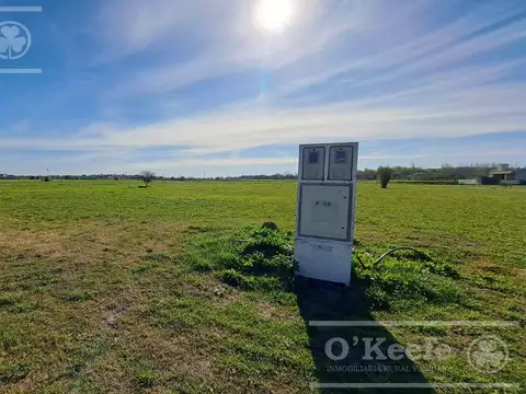 Terreno en Venta de 881,0 m2