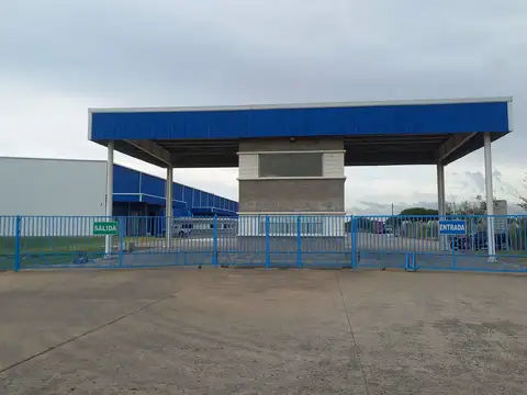 pascual palazzo , ramal escobar 100