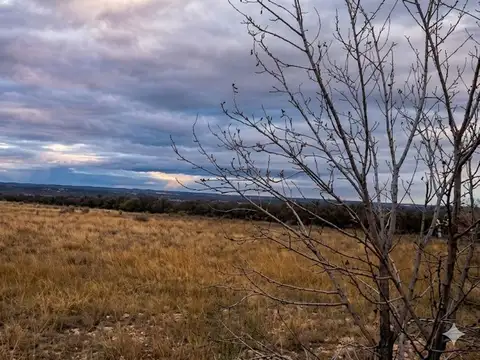 Campo en Venta en Carrizal de Abajo, Luján de Cuyo