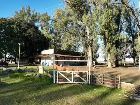 250 hectareas en Don Cristobal