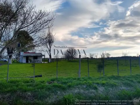 4 HECTAREAS sobre calle MARCOS PAZ