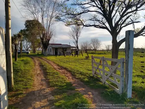 4 HECTAREAS sobre calle MARCOS PAZ