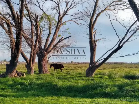 Campo Calle Marcos Paz