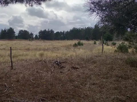 Terreno en Venta en Mar Azul, USD 250.000