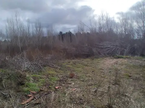 Venta en block  de 2 fcciones, acceso a Mar Azul x Ruta 11