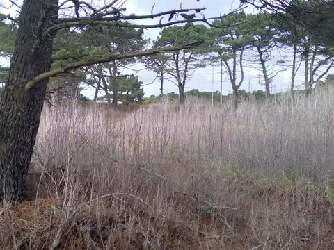 Venta en block  de 2 fcciones, acceso a Mar Azul x Ruta 11