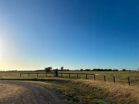 Terreno en Venta de 11000,0 m2