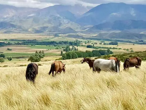 Terreno en Venta de 2000,0 m2