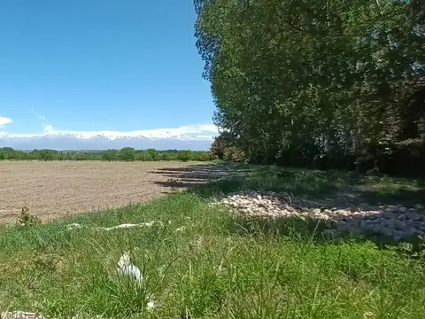 Terreno en Venta en El Peral, Tupungato