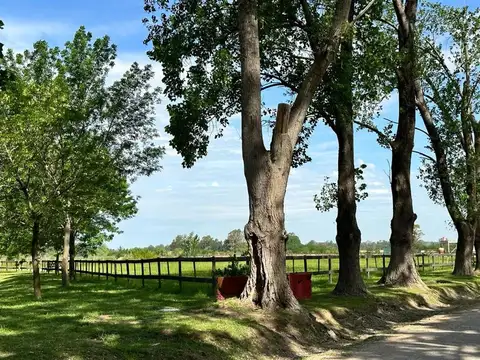 CHACRA EN VENTA CON HARAS CLUB HOUSE EXALTACION DE LA CRUZ