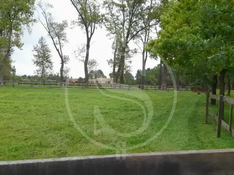 Haras El Malacate