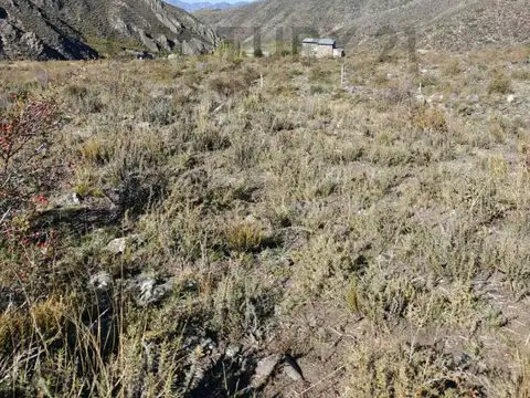 Cam Francisco Guiñazú , Piso 0
