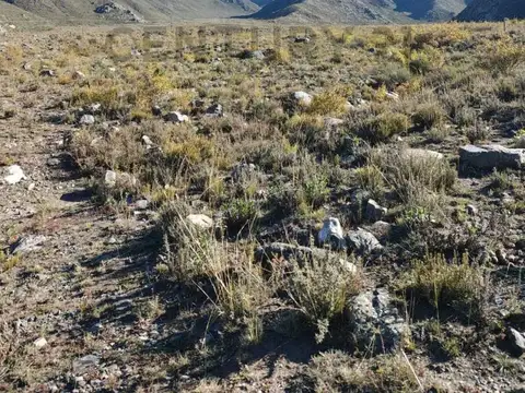 VENTA LOTE 2,6 HECTAREAS – CAMINO A VALLECITOS, POTRERILLOS