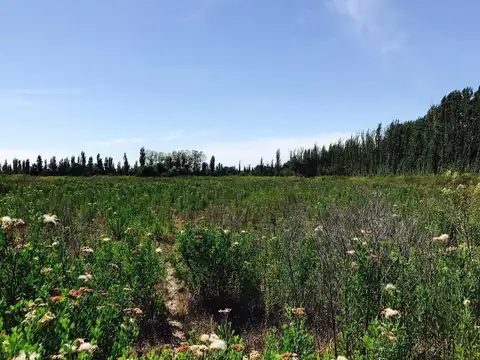 Terreno en Venta de 80000,0 m2