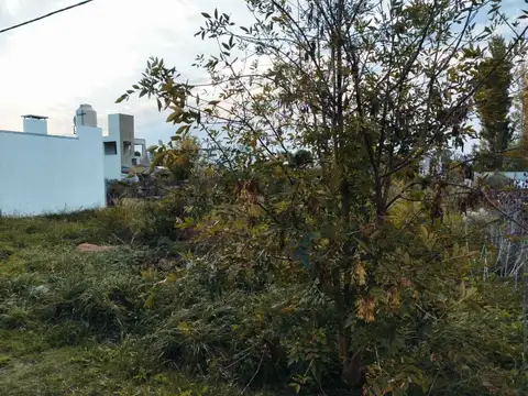 Venta de Lote en Parque Sicardi