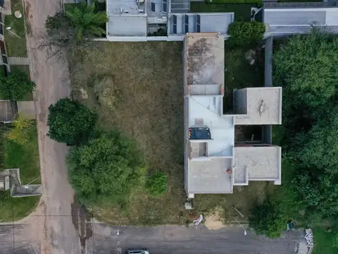 la liebre y la martineta 2600