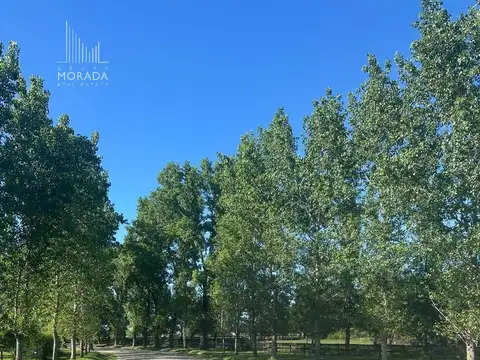VENTA Lote CENTRAL El Malacate. OPORTUNIDAD. Arboleda atrás y adelante. Permuta. Financiación.