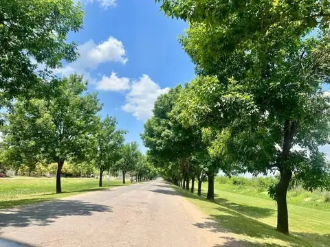 Terreno en Venta de 300,0 m2