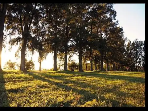 Terreno en Venta en Fighiera, USD 49.000