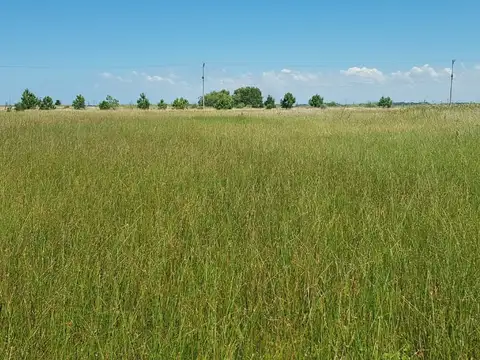 Terreno en Venta 20  mts Frente