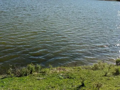 82 Hectáreas en Venta en Ruta 74