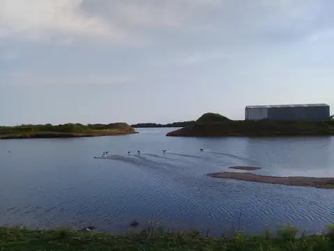 Campo en Venta de 82  ha