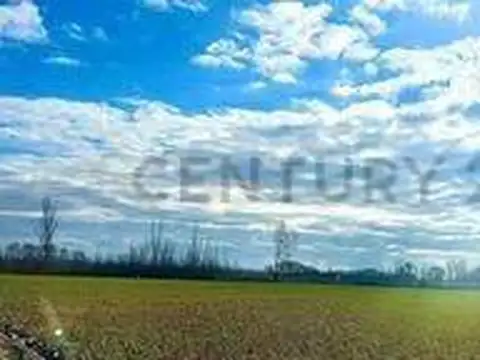 Campo en Venta de 17  ha