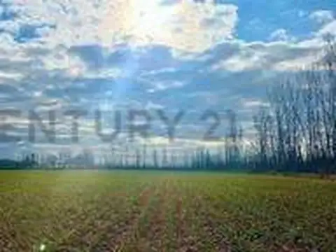 VENTA FINCA TUNUYÁN DE 17 HECTAREAS CON CULTIVOS