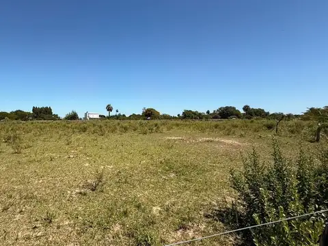 Terreno en Venta de 5550,0 m2