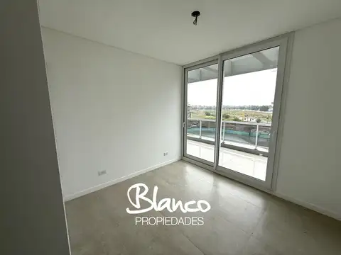 Luciérnagas Pilar 300