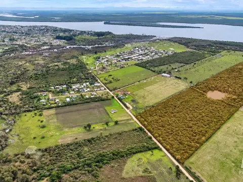 40 hectáreas aptas para proyecto de loteo. ejido colon.