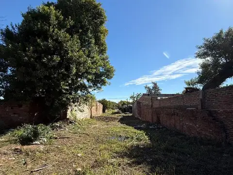 Terreno en Venta 39  mts Fondo