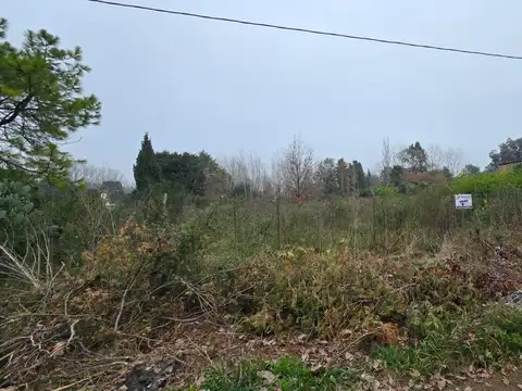Terreno - 20 De Junio - Amplio - Venta