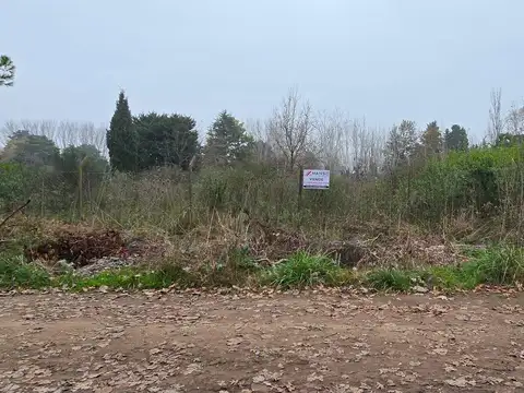 Terreno - 20 De Junio - Amplio - Venta
