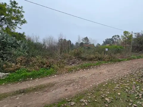 Fragata Sarmiento al 1800