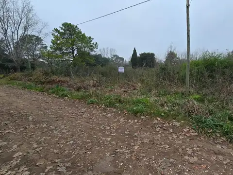 Terreno en Venta 37  mts Frente
