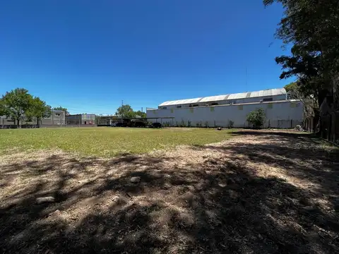 D Antonio Agripina 2246