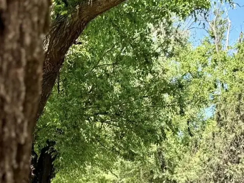 Terreno en Venta de 750,0 m2