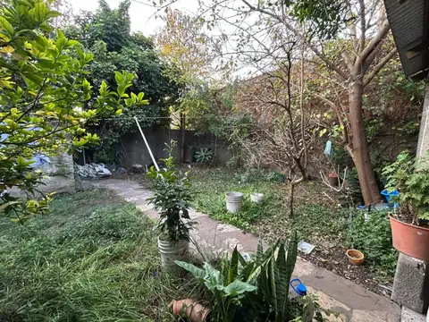 Bazzini 1800