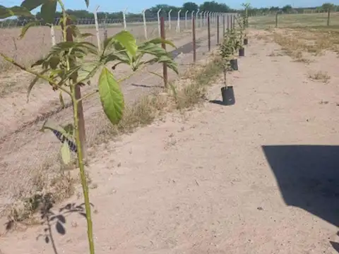 Terreno en Venta de 1224,0 m2