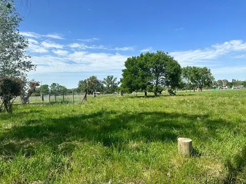 Manzanares 100