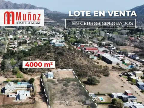 Terreno - Venta - Argentina, Juana Koslay