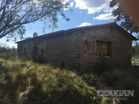 Campo - Junin