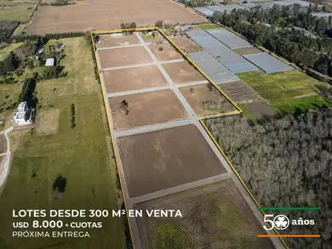 Calle 83