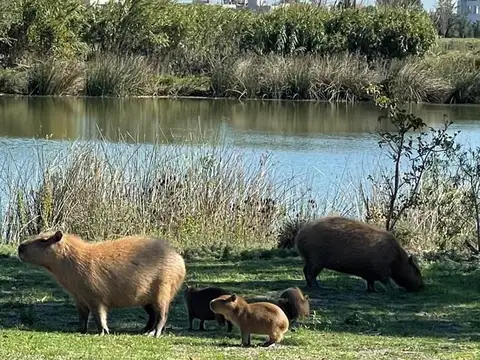 Terreno en Venta de 512,0 m2