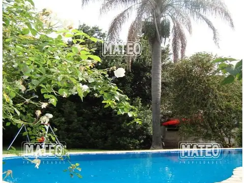 Coleta Palacios 1000