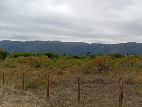 Lote con plataforma de 82mts2 en lote de 600mts2